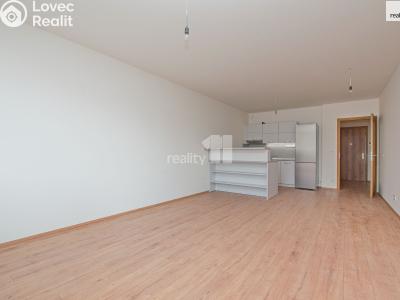 Pronájem bytu 2+KK Liberec, Švermova č. 3
