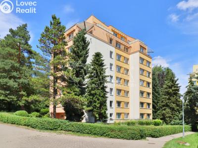 Pronájem bytu 1+KK Praha, Šimůnkova č. 1