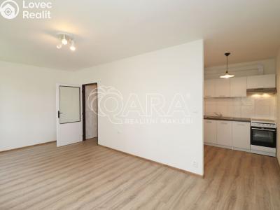 Pronájem bytu 1+KK Praha, Šimůnkova č. 2