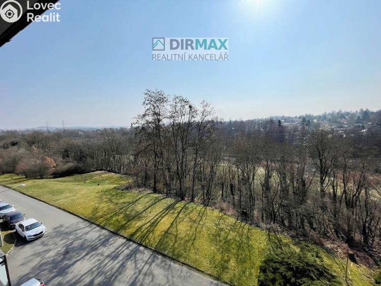 Pronájem bytu 2+1 Plzeň, České údolí 484/14 č. 7