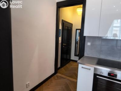 Pronájem bytu 1+KK Praha, Hálkova č. 6