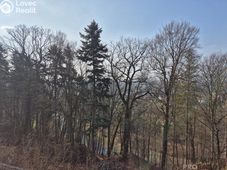 Pronájem bytu 4+1 Třinec, Sosnová č. 5