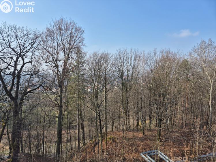 Pronájem bytu 4+1 Třinec, Sosnová č. 6