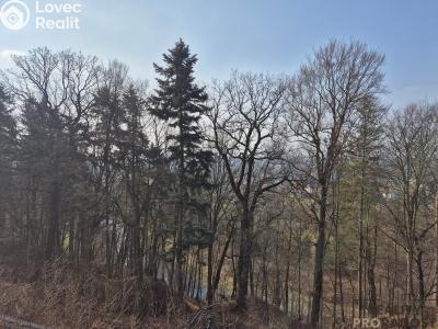 Pronájem bytu 4+1 Třinec, Sosnová č. 5