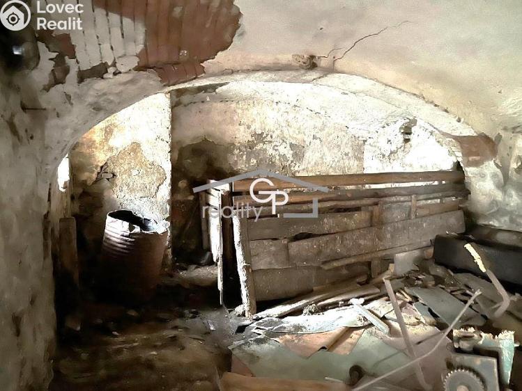 Prodej komerční nemovitosti Hracholusky č. 19