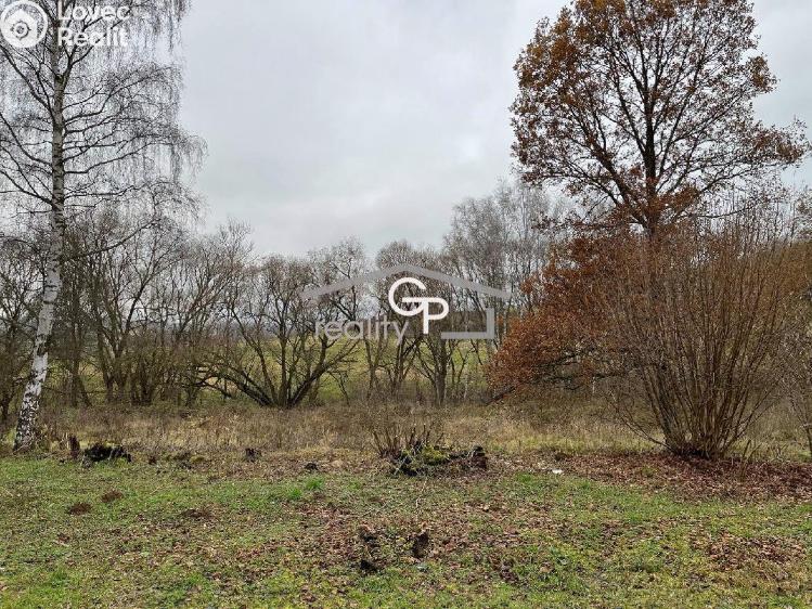 Prodej rodinného domu Hracholusky č. 22