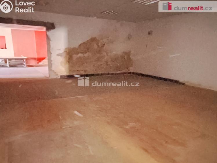 Prodej výrobní haly Děčín, Dělnická č. 20