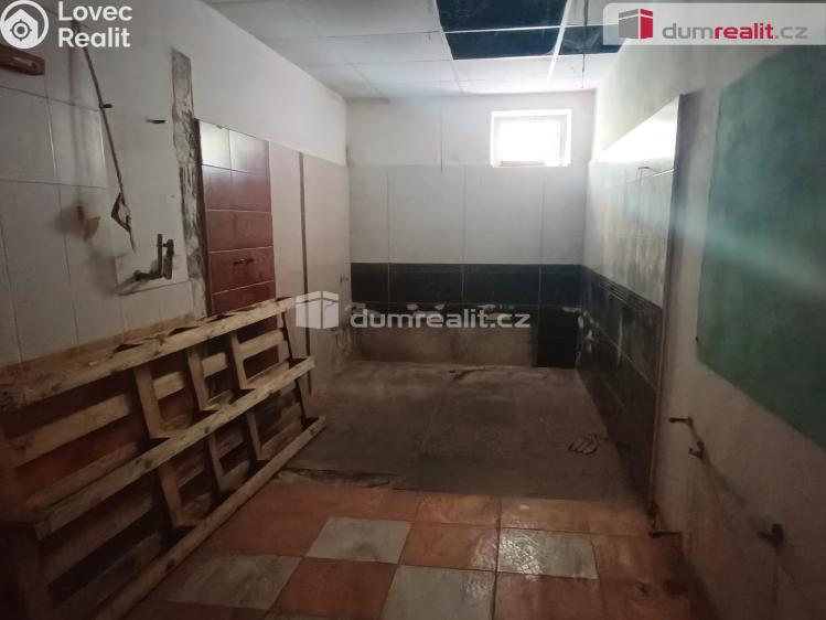 Prodej výrobní haly Děčín, Dělnická č. 21