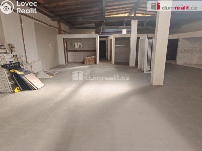 Prodej výrobní haly Děčín, Dělnická č. 2