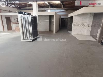 Prodej výrobní haly Děčín, Dělnická č. 5