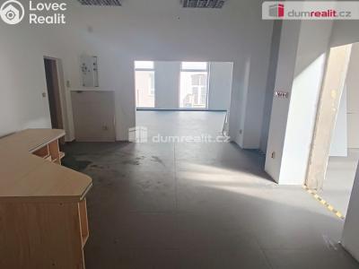 Prodej výrobní haly Děčín, Dělnická č. 6