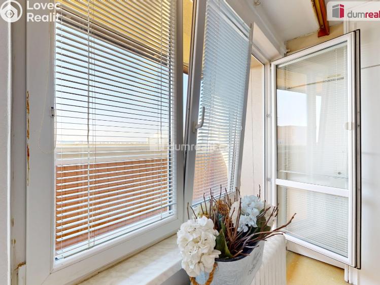 Sale apartment 1+KK Ostrava, Francouzská č. 4