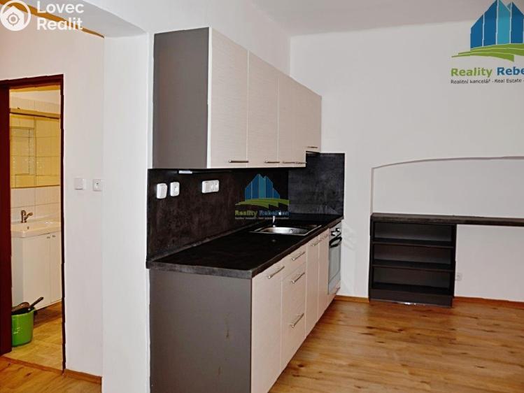 Pronájem bytu 1+1 Cheb, Úzká 372/10 č. 5