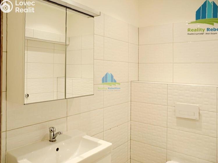 Pronájem bytu 1+1 Cheb, Úzká 372/10 č. 7