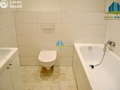 Pronájem bytu 1+1 Cheb, Úzká č. 6