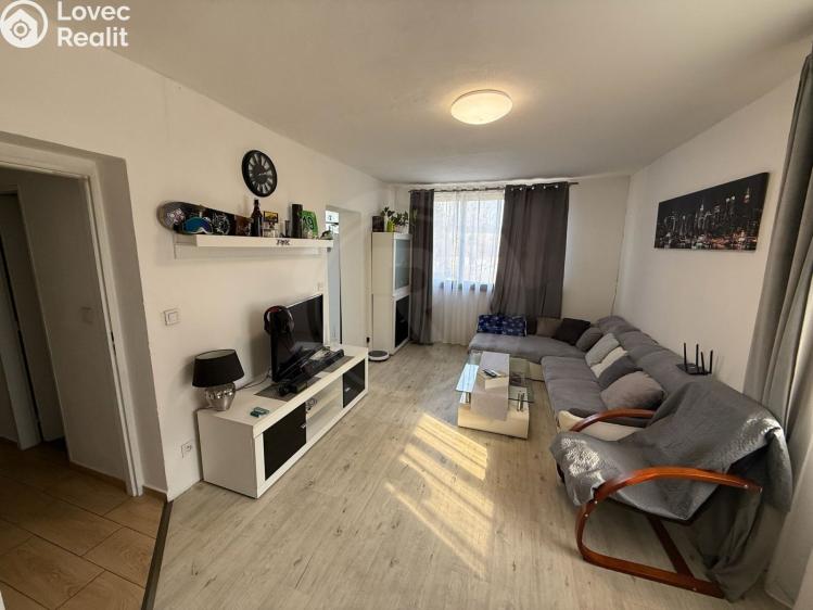 Pronájem bytu 2+1 Jankov č. 1