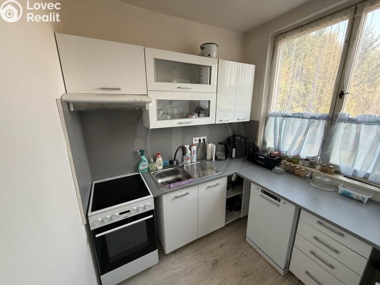 Pronájem bytu 2+1 Jankov č. 3