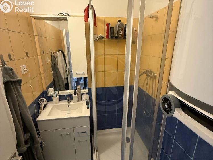 Pronájem bytu 2+1 Jankov č. 4