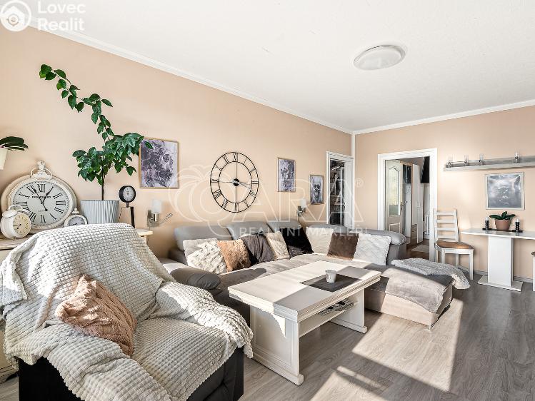 Sale apartment 3+1 Týn nad Vltavou, Veselská č. 1