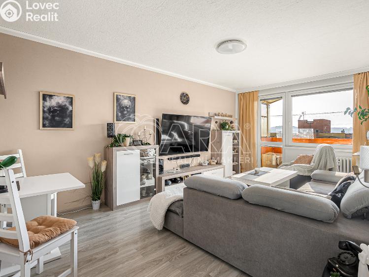 Sale apartment 3+1 Týn nad Vltavou, Veselská č. 3