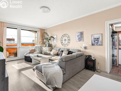 Sale apartment 3+1 Týn nad Vltavou, Veselská č. 2