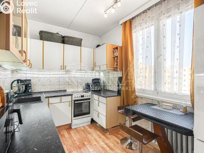 Sale apartment 3+1 Týn nad Vltavou, Veselská č. 4