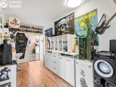 Sale apartment 3+1 Týn nad Vltavou, Veselská č. 5