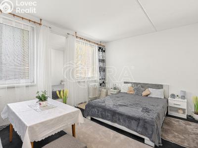 Sale apartment 3+1 Týn nad Vltavou, Veselská č. 6