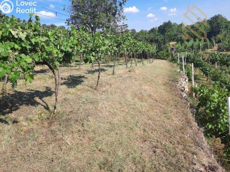 Prodej rodinného domu Velké Žernoseky č. 19