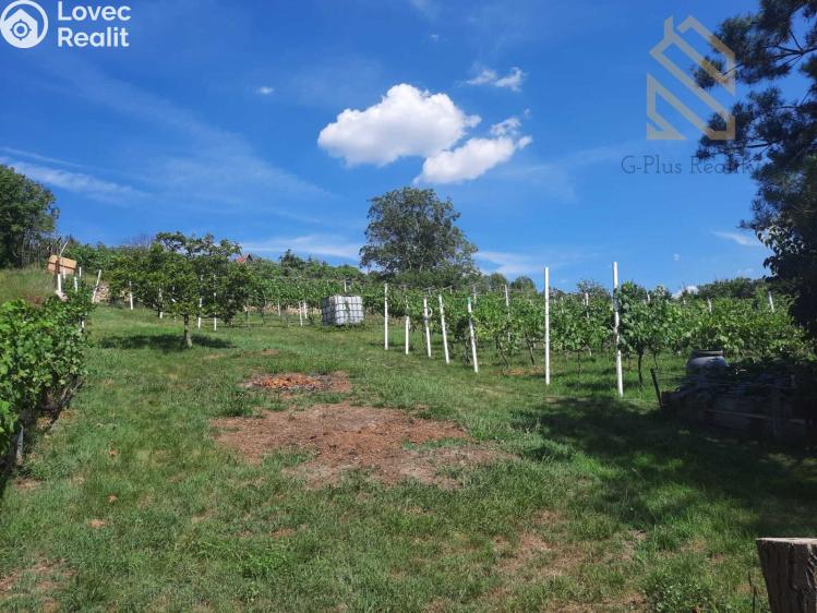 Prodej rodinného domu Velké Žernoseky č. 20