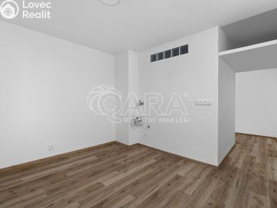 Prodej bytu 2+1 Brno, Stará osada č. 4