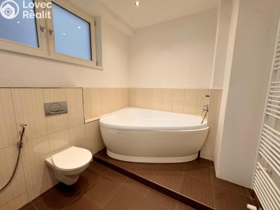 Pronájem bytu 4+KK Ostrava, Krakovská č. 6