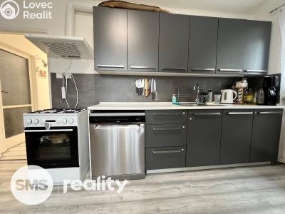 Pronájem bytu 2+1 Opava, Alšova č. 3