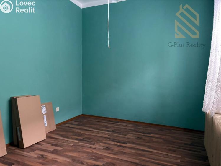 Pronájem bytu 1+1 Mikulášovice č. 4