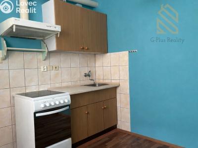 Pronájem bytu 1+1 Mikulášovice č. 3