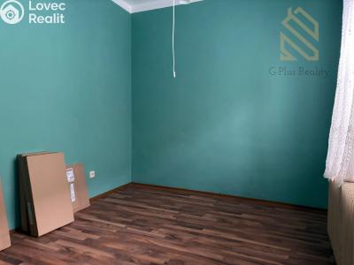 Pronájem bytu 1+1 Mikulášovice č. 4