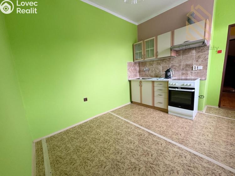 Pronájem bytu 1+1 Mikulášovice č. 4