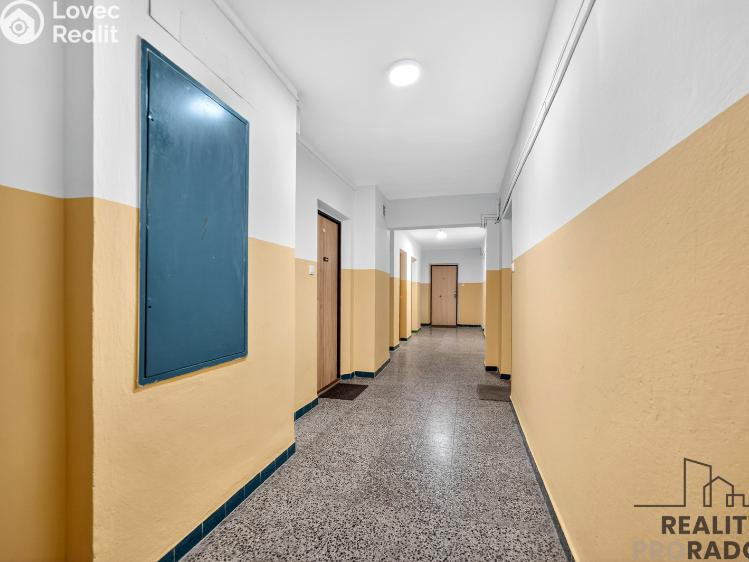 Pronájem bytu 3+1 Pardubice, Partyzánů 349 č. 14