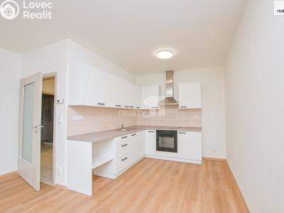 Pronájem bytu 2+KK Liberec, Papírová č. 1