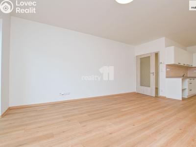 Pronájem bytu 2+KK Liberec, Papírová č. 4