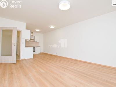 Оренда квартири 2+KK Liberec, Papírová č. 11