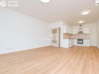 Pronájem bytu 2+KK Liberec, Papírová č. 2