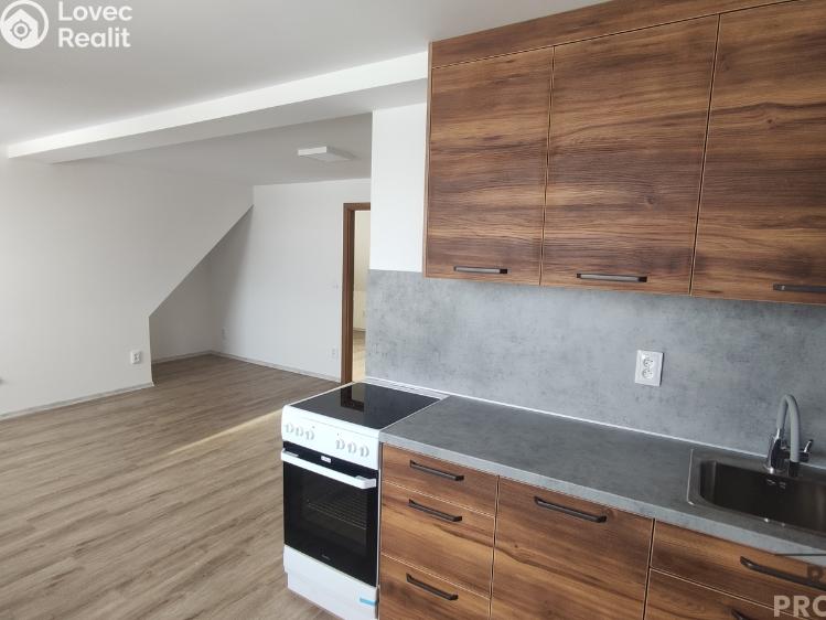 Pronájem bytu 3+KK Velká Bíteš č. 4