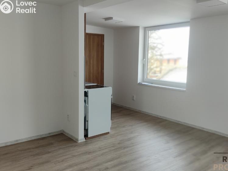 Pronájem bytu 3+KK Velká Bíteš č. 8