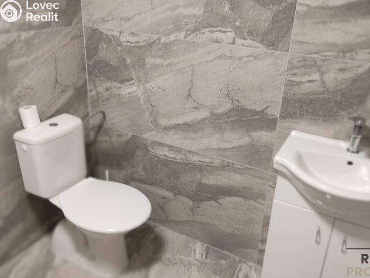 Pronájem bytu 3+KK Velká Bíteš č. 12