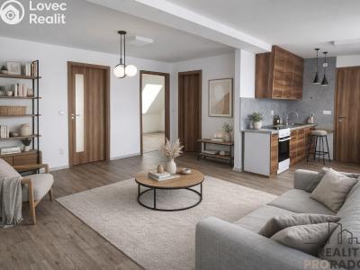 Pronájem bytu 3+KK Velká Bíteš č. 3