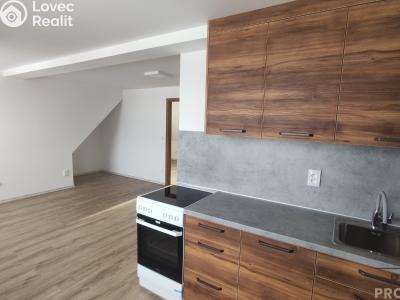 Pronájem bytu 3+KK Velká Bíteš č. 4