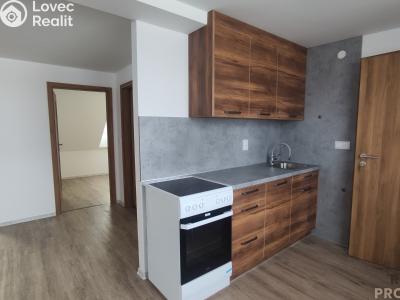 Pronájem bytu 3+KK Velká Bíteš č. 5