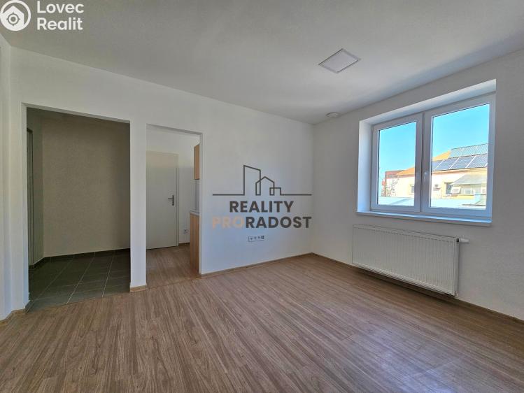 Rent apartment 1+1 Hodonín, Kolískova č. 3