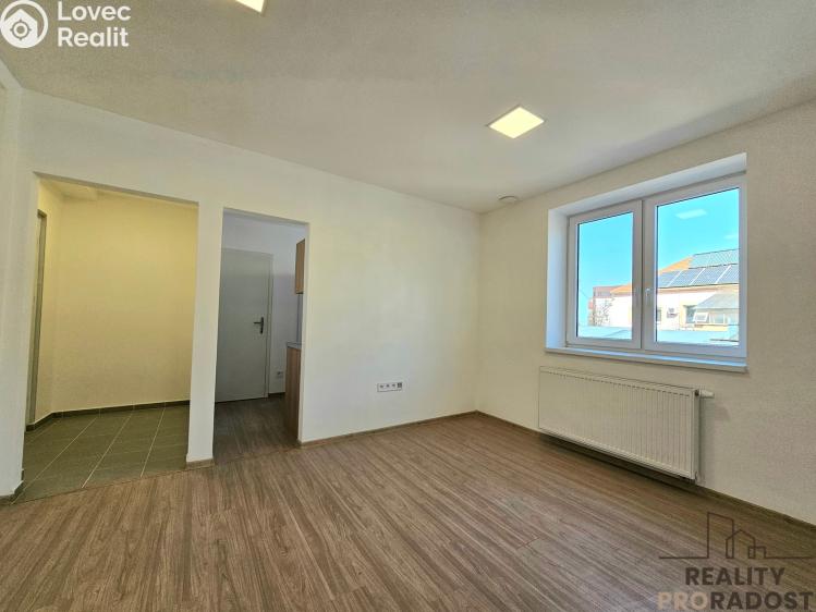 Rent apartment 1+1 Hodonín, Kolískova č. 8